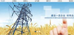 甘肃电*张掖发电有限责任公司网站模板可视化建站作品欣赏