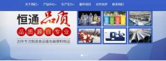 吴忠市恒*塑料制品有限公司网站建设平面设计案例作品