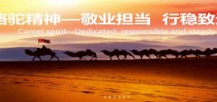 陕西有*榆林新材料集团有限责任公司网站建设基本流程