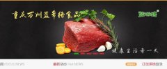 重庆市万州蓝*络食品有限公司网站设计有创意的主题设计