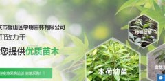 重庆市璧山区学*园林有限公司网站建设基本流程