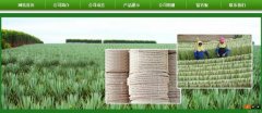 广西玉林市长*剑麻有限公司企业网站建设新一代自助建站、智能建站系统