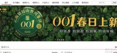 云南澜*古茶有限公司制作网站基本流程
