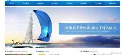 重庆市*成科技股份有限公司网站建设有创意的主题设计