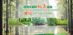 南县天*园林绿化有限公司设计网站可视化建站作品欣赏