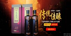 江苏泗洪县双*酿酒有限公司制作网站经典网页模板网站建设酿酒行业作品欣赏