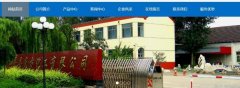 邹平县东*化工有限公司网站开发可视化建站作品欣赏