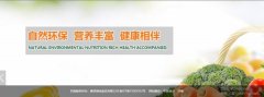 曹县海*食品有限公司网站开发可视化建站作品欣赏