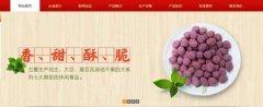 红太*食品(荣成)有限公司制作网站新一代自助建站、智能建站系统