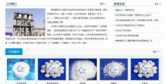 鄄城康*化工有限公司做网站展示型案例作品