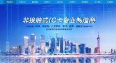 山东华*智能卡有限公司网站建设参考网站