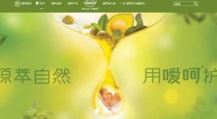 上海嗳*母婴用品国际贸易有限公司做网站展示型案例作品