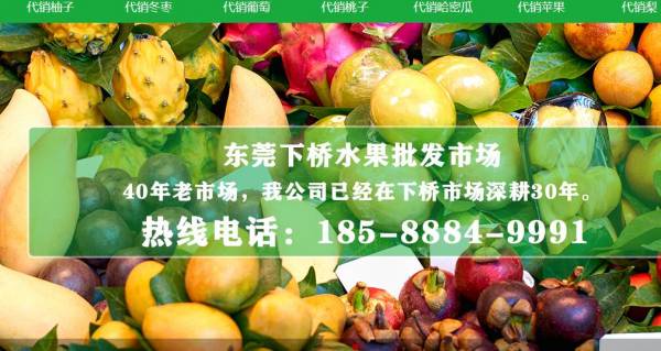 东莞下桥水果批发市场与我司签订网站设计协议