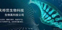 重庆桦荧⽣物科技有限公司与我司签订网站制作协议