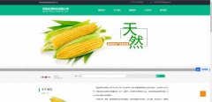 企业网站设计基于信息图形化的网页界面视觉均衡优化