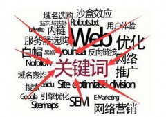 2026年网站搜索引擎优化(SEO)全流程实操指南