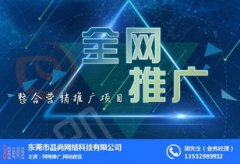 当前行业网站建设发展