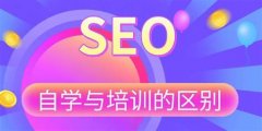 企业网站:从颜值担当转变商业战略