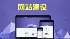 公司网站制作信息发布量标准